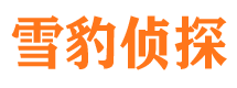 崇礼侦探公司